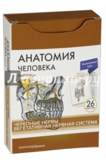Книга Анатомия человека.Черепные нервы. Карточки (26 шт) на ReadRate.com книга Анатомия человека.Черепные нервы. Карточки (26 шт)
