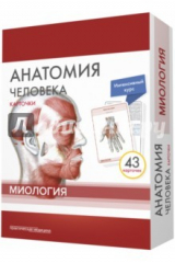 книга Анатомия человека. Карточки. Миология