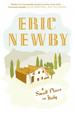 Книга A Small Place in Italy на ReadRate.com книга A Small Place in Italy