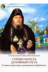книга Спеши начать духовный путь. О главном пороке души и христианских добродетелях