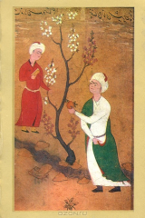 книга Саади. Избранное