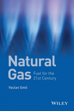 Книга Natural Gas. Fuel for the 21st Century на ReadRate.com книга Natural Gas. Fuel for the 21st Century
