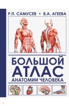 Книга Большой атлас анатомии человека на ReadRate.com книга Большой атлас анатомии человека