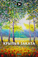 книга Крылья заката