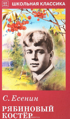 Книга Рябиновый костёр на ReadRate.com книга Рябиновый костёр