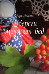 книга Убереги меня от бед