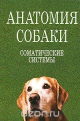 книга Анатомия собаки. Соматические системы