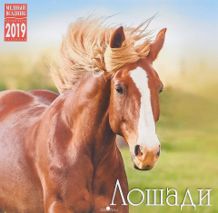 Книга Календарь на спирали на 2019 год. Лошади на ReadRate.com книга Календарь на спирали на 2019 год. Лошади
