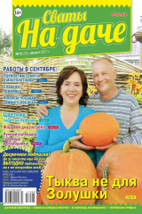 книга Сваты на Даче 08-2017