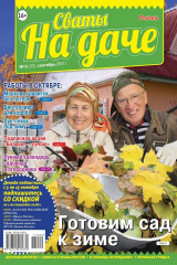 книга Сваты на Даче 09-2017