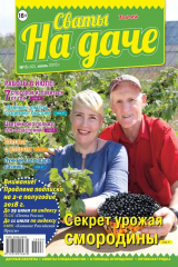 книга Сваты на Даче 06-2018