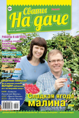 книга Сваты на Даче 07-2018