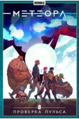 книга Метеора. Том 6. Проверка пульса