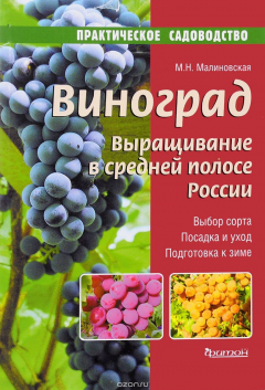Книга Виноград. Выращивание в средней полосе России. Выбор сорта. Посадка и уход. Подготовка к зиме на ReadRate.com книга Виноград. Выращивание в средней полосе России. Выбор сорта. Посадка и уход. Подготовка к зиме