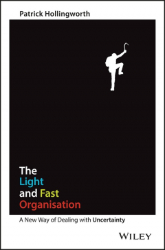 Книга The Light and Fast Organisation. A New Way of Dealing with Uncertainty на ReadRate.com книга The Light and Fast Organisation. A New Way of Dealing with Uncertainty