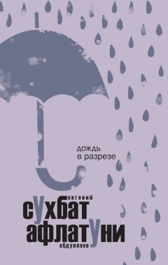 Книга Дождь в разрезе на ReadRate.com книга Дождь в разрезе
