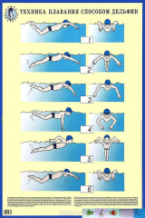 книга Техника плавания способом дельфин. Плакат