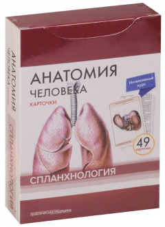 Книга Анатомия человека. Карточки. Спланхнология на ReadRate.com книга Анатомия человека. Карточки. Спланхнология