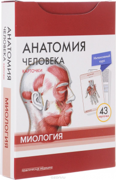 книга Анатомия человека. Миология (набор из 43 карточек)