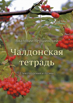 Книга Чалдонская тетрадь. Стихотворения и поэмы на ReadRate.com книга Чалдонская тетрадь. Стихотворения и поэмы