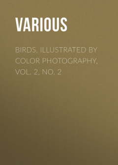 Книга Birds, Illustrated by Color Photography, Vol. 2, No. 2 на ReadRate.com книга Birds, Illustrated by Color Photography, Vol. 2, No. 2