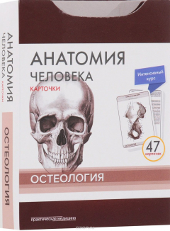Книга Анатомия человека. Остеология (набор из 47 карточек) на ReadRate.com книга Анатомия человека. Остеология (набор из 47 карточек)