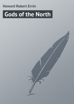 Книга Gods of the North на ReadRate.com книга Gods of the North