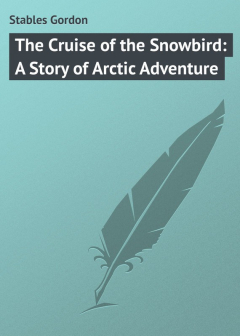 Книга The Cruise of the Snowbird: A Story of Arctic Adventure на ReadRate.com книга The Cruise of the Snowbird: A Story of Arctic Adventure