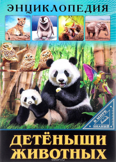 книга Детёныши животных
