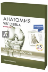 книга Анатомия человека. Синдесмология (25 карточек)