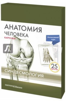 Книга Анатомия человека. Синдесмология (25 карточек) на ReadRate.com книга Анатомия человека. Синдесмология (25 карточек)