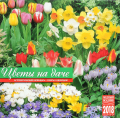 Книга Календарь 2018 (на скрепке). Цветы на даче на ReadRate.com книга Календарь 2018 (на скрепке). Цветы на даче