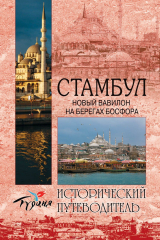 книга Стамбул. Новый Вавилон на берегах Босфора