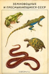 книга Земноводные и пресмыкающиеся СССР