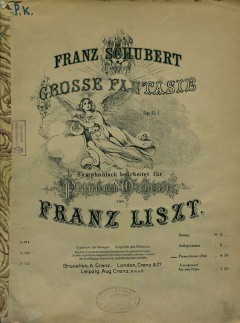 Книга Grosse Fantasie, op. 15, fur Piano und Orchester v. F. Liszt simphonisch bearb. Pianostimme allein на ReadRate.com книга Grosse Fantasie, op. 15, fur Piano und Orchester v. F. Liszt simphonisch bearb. Pianostimme allein