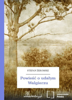 Книга Powieść o udałym Walgierzu на ReadRate.com книга Powieść o udałym Walgierzu