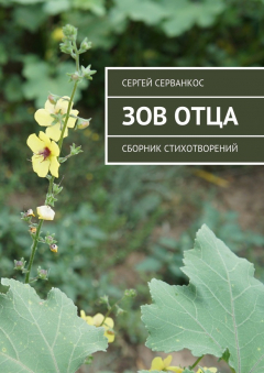 Книга Зов Отца. Сборник стихотворений на ReadRate.com книга Зов Отца. Сборник стихотворений