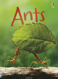 Книга Ants на ReadRate.com книга Ants
