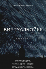 книга Виртуалбой66