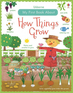 Книга My First Book About How Things Grow на ReadRate.com книга My First Book About How Things Grow