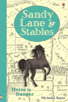 Книга Sandy Lane Stables Horse in Danger на ReadRate.com книга Sandy Lane Stables Horse in Danger
