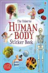 книга Human Body Sticker Book
