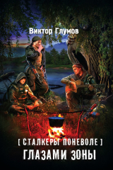 книга Глазами Зоны