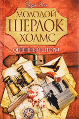 книга Огненный шторм