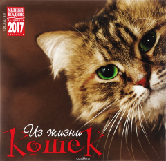 Книга Календарь 2017 (на скрепке). Из жизни кошек / Life of Cats на ReadRate.com книга Календарь 2017 (на скрепке). Из жизни кошек / Life of Cats