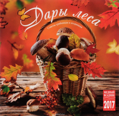 Книга Календарь 2017 (на скрепке). Дары леса. Советы грибникам и ягодникам на ReadRate.com книга Календарь 2017 (на скрепке). Дары леса. Советы грибникам и ягодникам