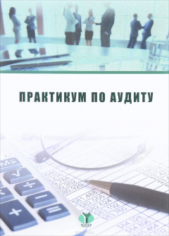 Книга Практикум по аудиту на ReadRate.com книга Практикум по аудиту