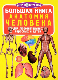 Книга Анатомия человека на ReadRate.com книга Анатомия человека