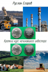 книга Краткий курс начинающего инвестора