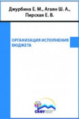 книга Организация исполнения бюджета